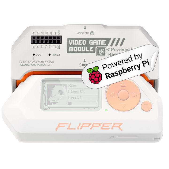 Flipper Zero Video Game Module